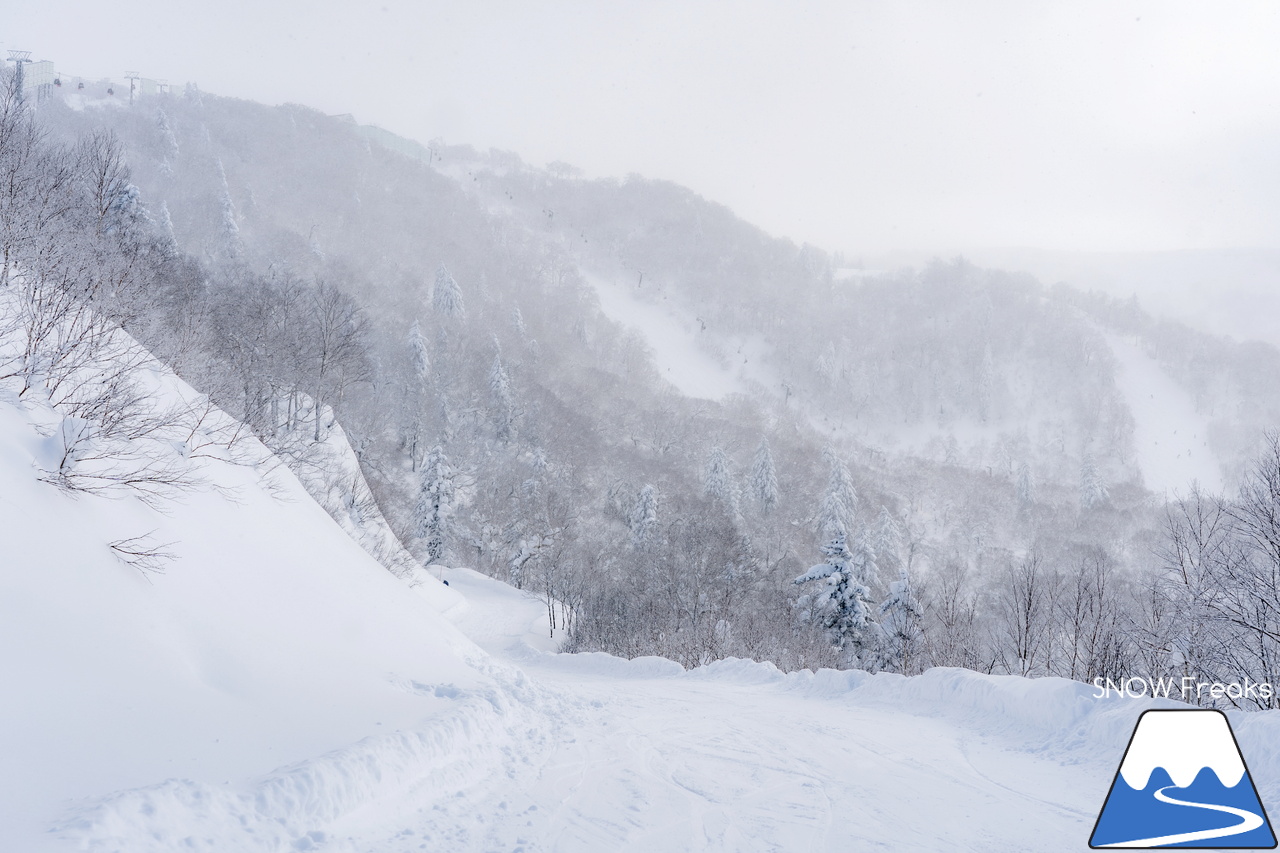 キロロリゾート｜寒さも、雪質も、最上級。キロロが誇る世界屈指のパウダースノーを楽しみましょう♪